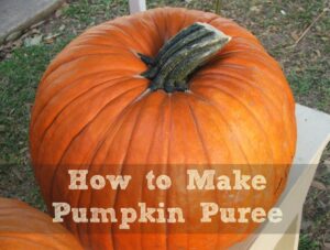 How to Make Pumpkin Puree