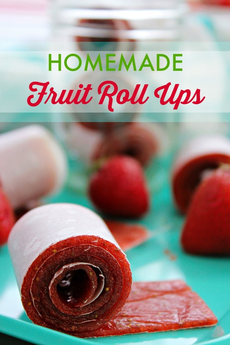 homemade-fruit-roll-ups-recipe