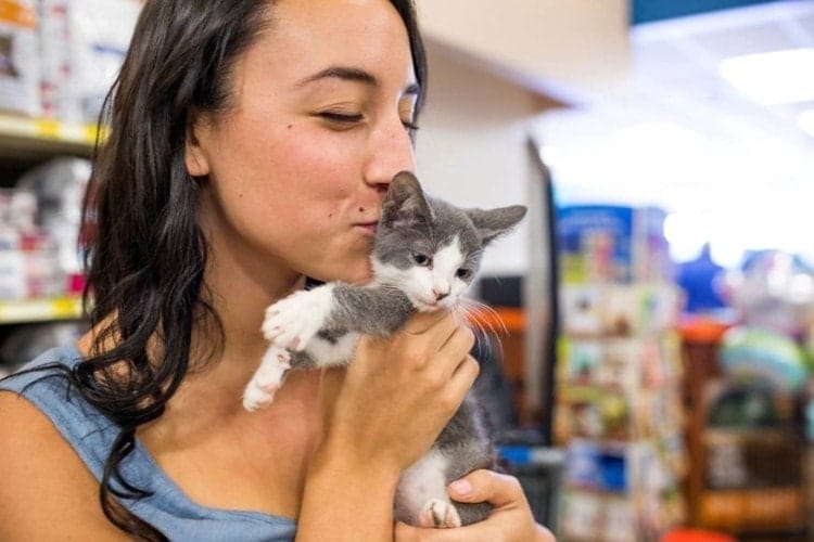 Pet Adoption With PetSmart Charities