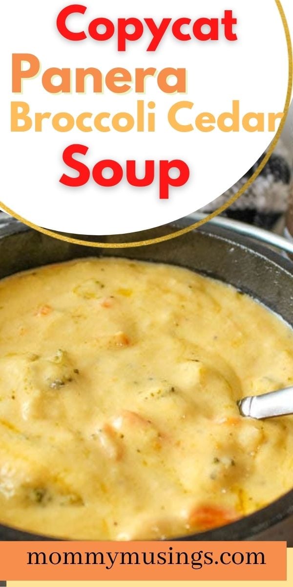 Copycat Panera Broccoli Cheddar Soup Recipe - MommyMusings.com