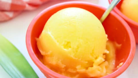 Pineapple Sorbet